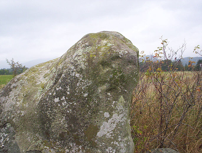 West Cowden