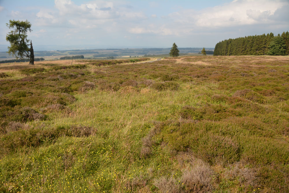 Click for the gallery page to add comments and vote (PID:184063) Wester Biggs (Dunblane)
