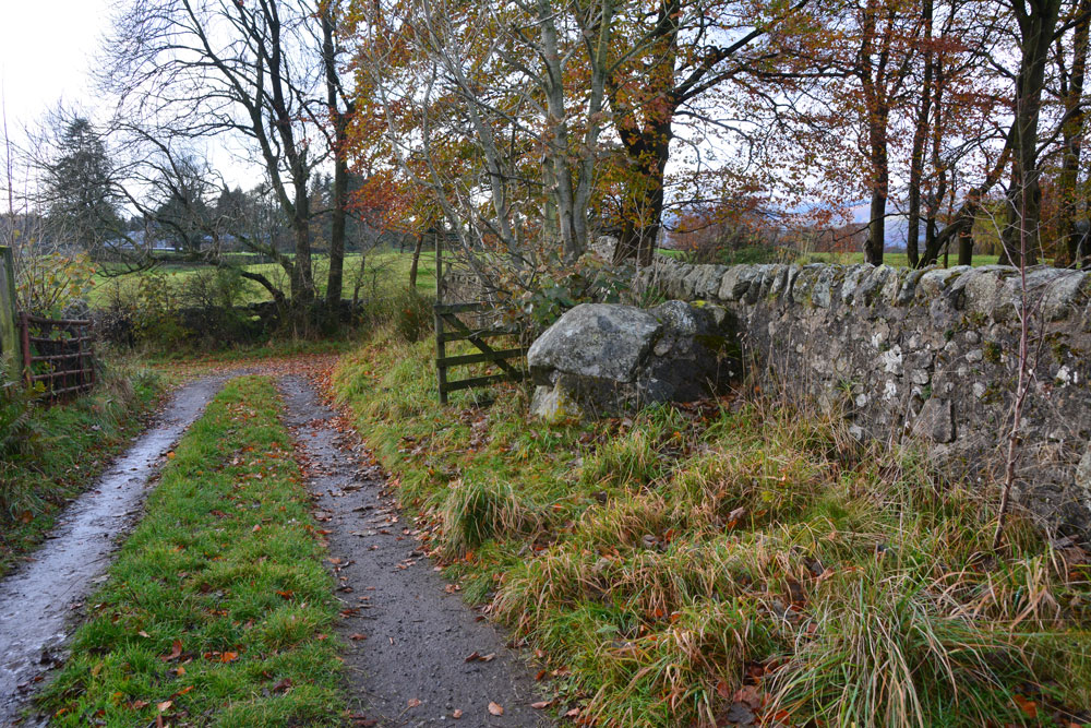 Bull Stone (Crook of Devon)