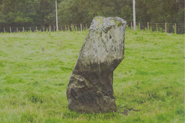 This is the Straloch Stone where I was stalked by two vicious steers. (See humour section) It is a great stone though and worth a visit if you are in the area.