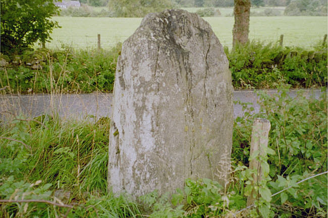 This stone is about half way between Enochdhu and Stralloch. You can park on the verge but safer at Tulloch Guest House just down the road if you ask. The stone is on the opposite side.