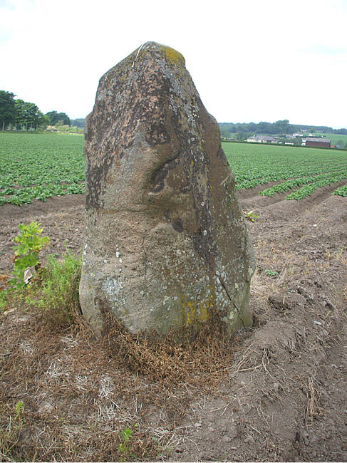 Dunning Standing Stone