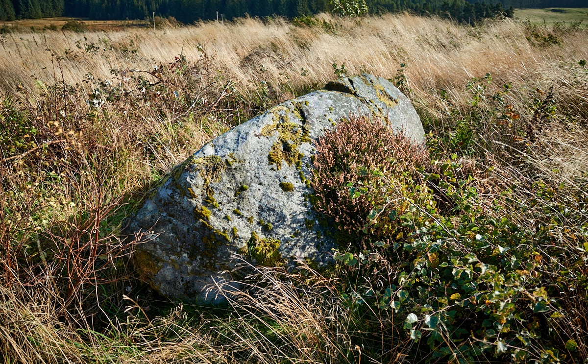Horse Stone, Hill of Drimmie