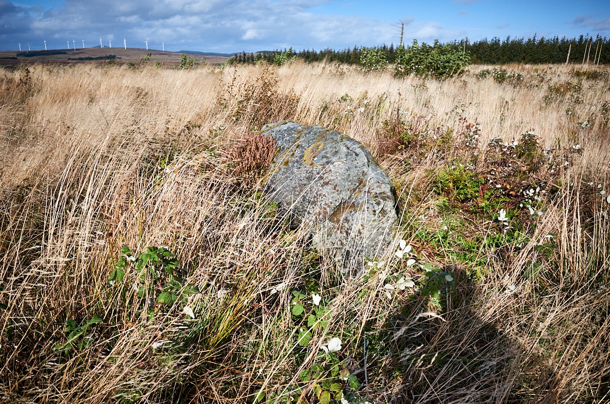 Horse Stone, Hill of Drimmie