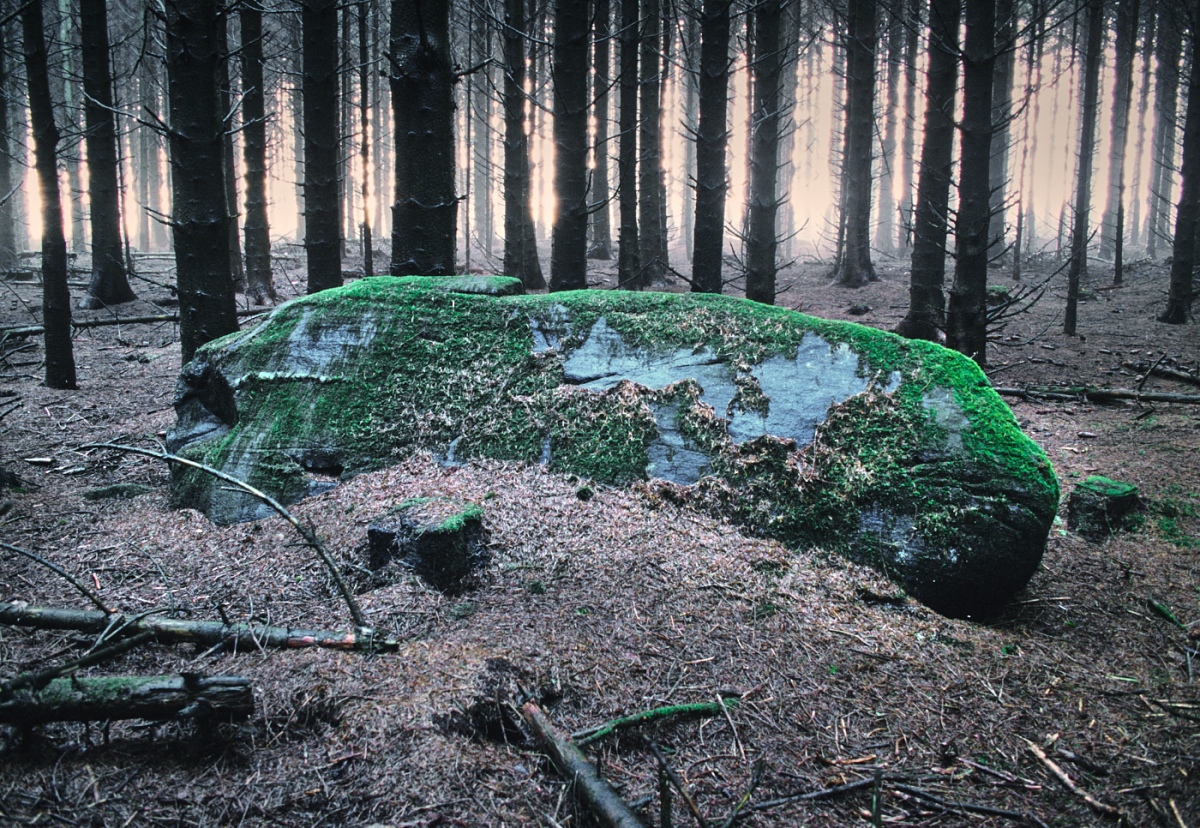 Horse Stone, Hill of Drimmie