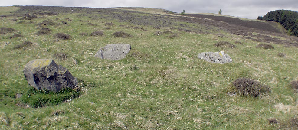 Click for the gallery page to add comments and vote (PID:12444) Blair Atholl E