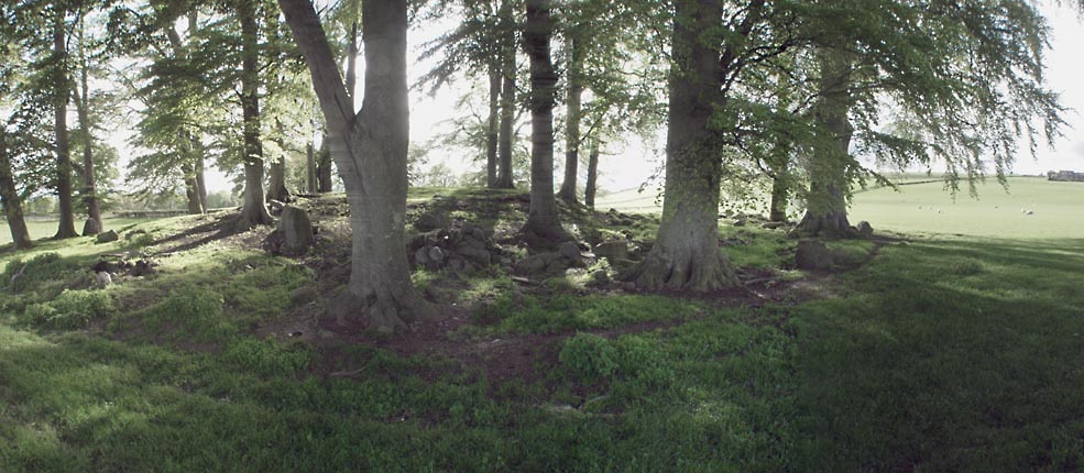 Click for the gallery page to add comments and vote (PID:12042) New Fowlis