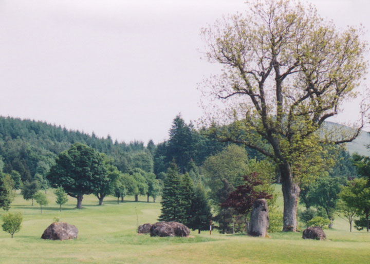 Ferntower