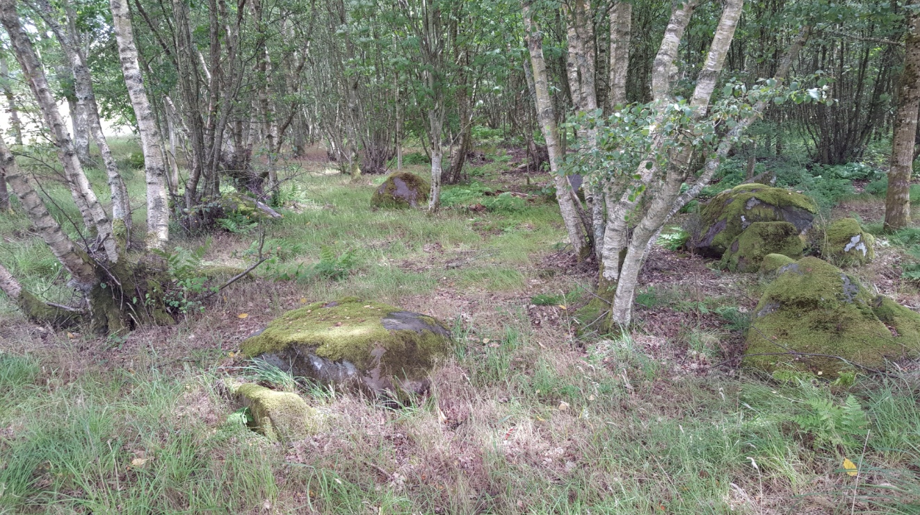 Blackfaulds