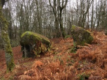 Cradle Stone