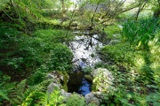 An Tobar - PID:260708