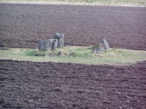 Carse Farm I