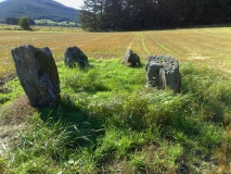Carse Farm I