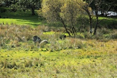 Clachan Aoraidh