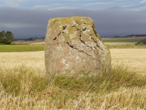 Haugh Of Aberuthven
