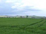Orwell Standing Stones - PID:1132 Orwell Standing Stones - PID:1132