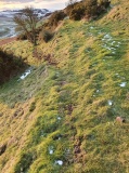 Evelick Hill Fort - PID:222301 Evelick Hill Fort - PID:222301