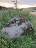 Stockmuir