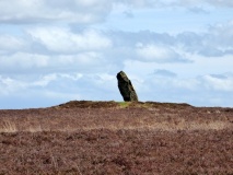 Dunruchan D (Muthill)