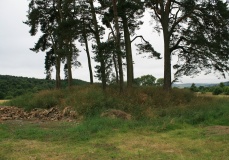 Pitnacree