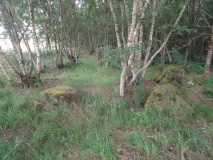 Blackfaulds