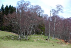 Clach na h' Iobairte