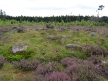 Druids Seat