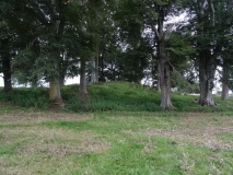 New Fowlis