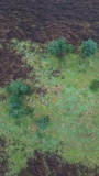 Broad Moss (Glendams) - PID:299353