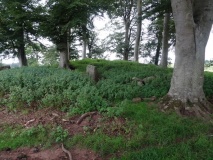 New Fowlis