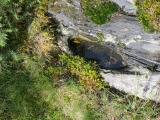 St Palladius' Footprint (Camusvrachan) - PID:185365
