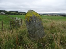 Thorn Stone Pair