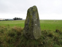 Thorn Stone Pair