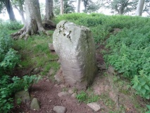 New Fowlis