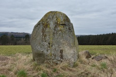 Grey Stone (St Madoes) - PID:146075