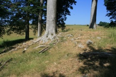 New Fowlis