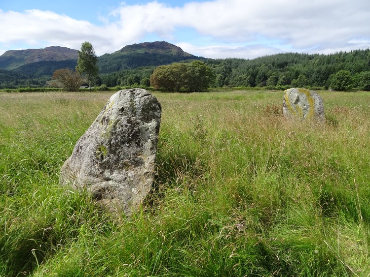 A general view of the only preserved stones of the Tullybannocher stone circle (photo taken on August 2017).