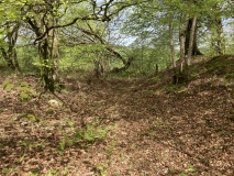 Captain's Bridge (Drummochreen) W