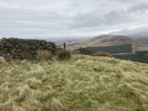 Carlock Hill