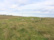 Carnduncan