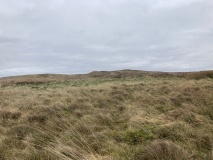 Drumduff