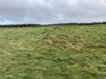 Gallop Hole