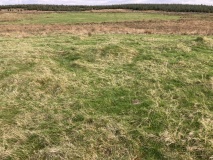 Haggstone Moor Cairn