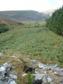 Carn Bran - PID:54943