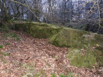High Craigenfeoch Rock Art