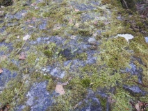 High Craigenfeoch Rock Art