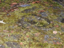 High Craigenfeoch Rock Art