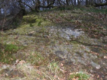 High Craigenfeoch Rock Art