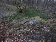 High Craigenfeoch Rock Art