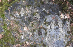 High Craigenfeoch Rock Art